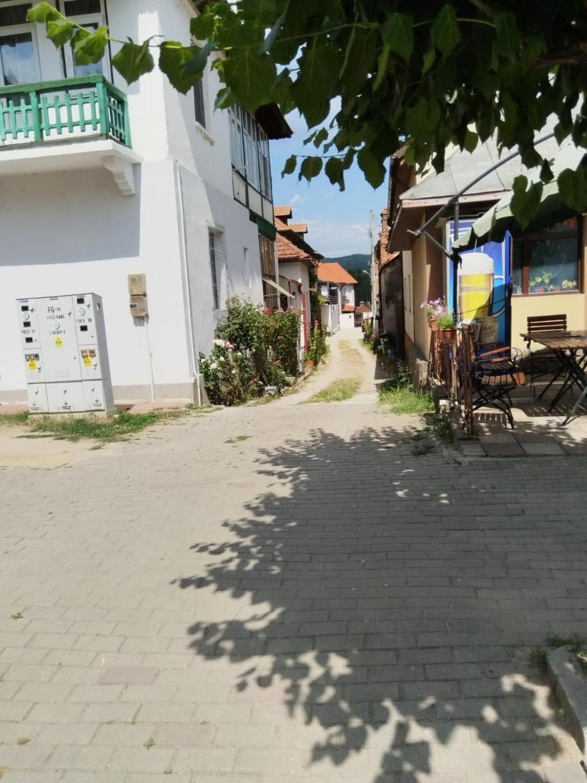 Urbanist Guest House Călimăneşti Exterior foto